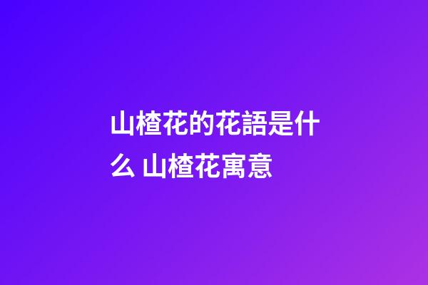 山楂花的花語是什么 山楂花寓意